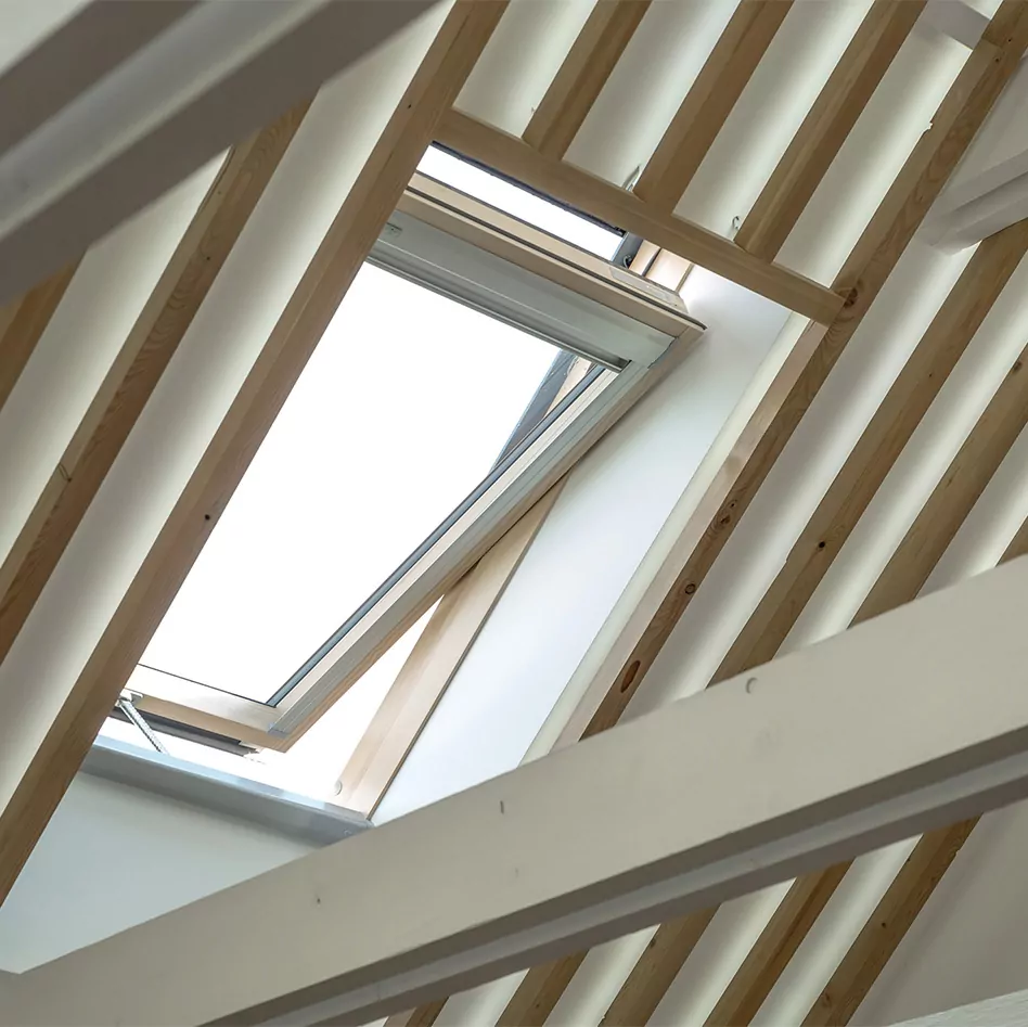 Horizion Windows