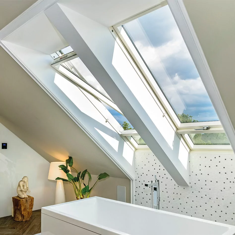 Roof Windows