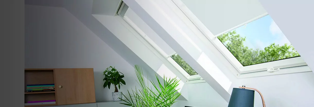 Roof Windows
