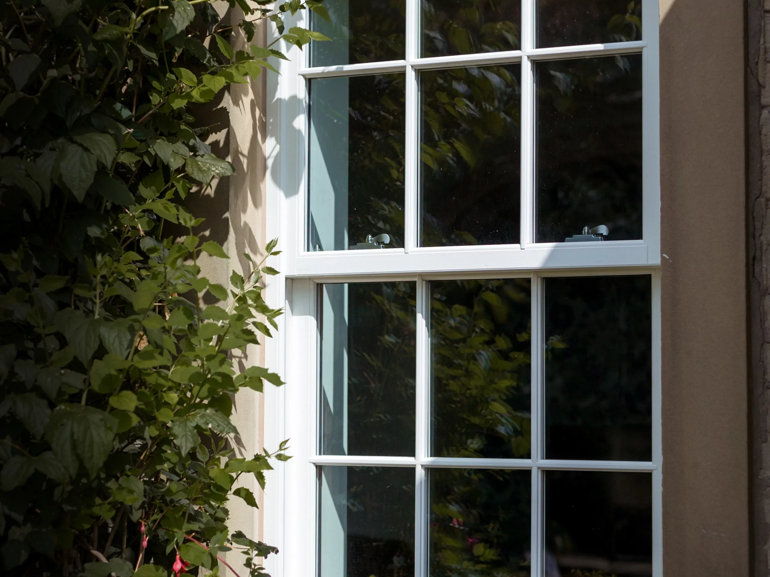 Horizion Windows