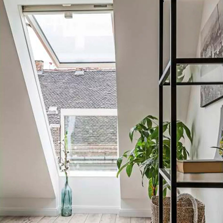 Horizion Windows