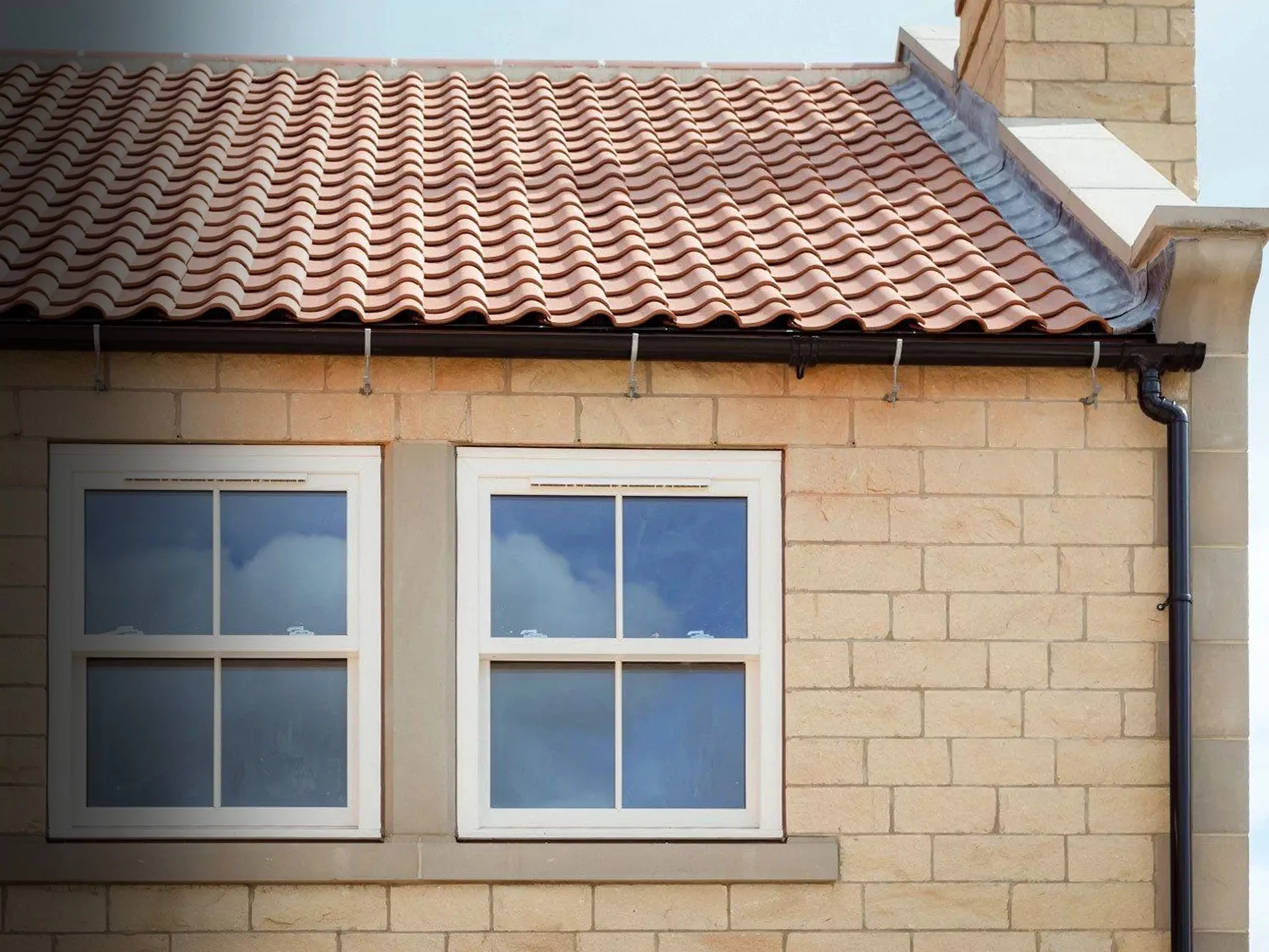 Horizion Windows