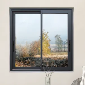 Cortizo 4900 Sliding Door 2-Pane